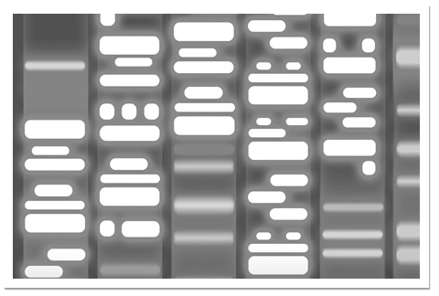 Affiche ADN identica